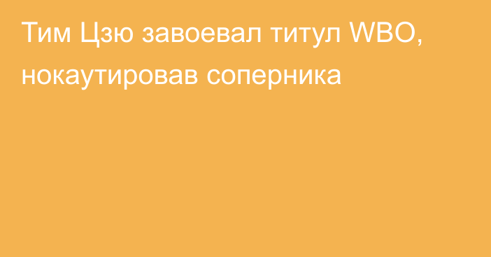 Тим Цзю завоевал титул WBO, нокаутировав соперника