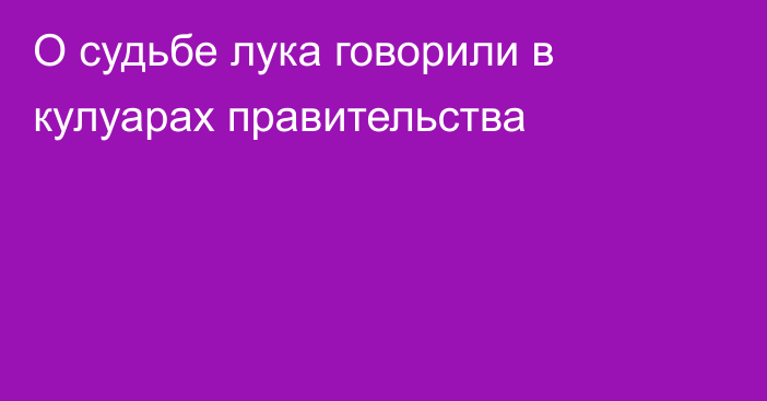 О судьбе лука говорили в кулуарах правительства