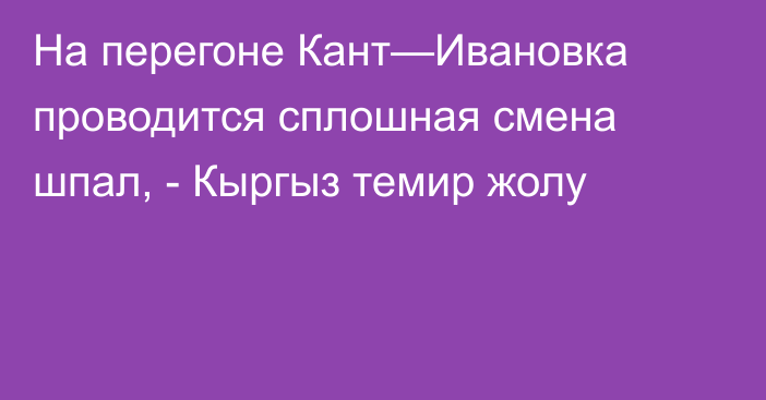 На перегоне Кант—Ивановка проводится сплошная смена шпал, - Кыргыз темир жолу