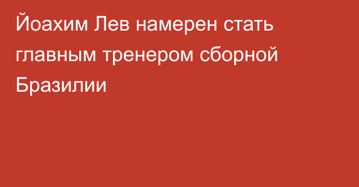 Йоахим Лев намерен стать главным тренером сборной Бразилии