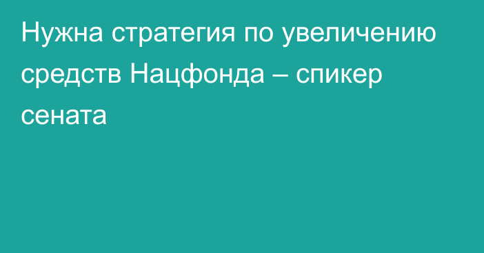 Нужна стратегия по увеличению средств Нацфонда – спикер сената