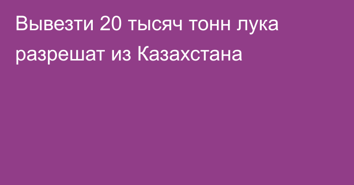 Вывезти 20 тысяч тонн лука разрешат из Казахстана