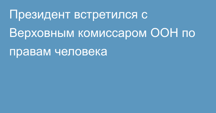 Президент встретился с Верховным комиссаром ООН по правам человека