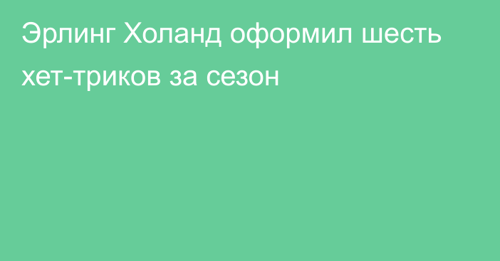 Эрлинг Холанд оформил шесть хет-триков за сезон