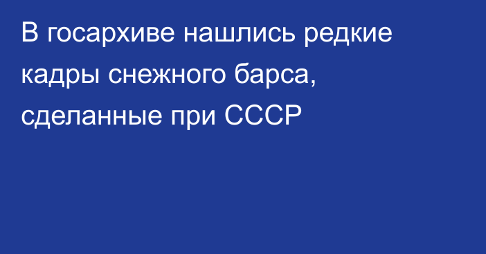 В госархиве нашлись редкие кадры снежного барса, сделанные при СССР