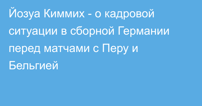 Йозуа Киммих - о кадровой ситуации в сборной Германии перед матчами с Перу и Бельгией