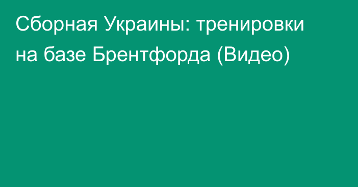 Сборная Украины: тренировки на базе Брентфорда (Видео)