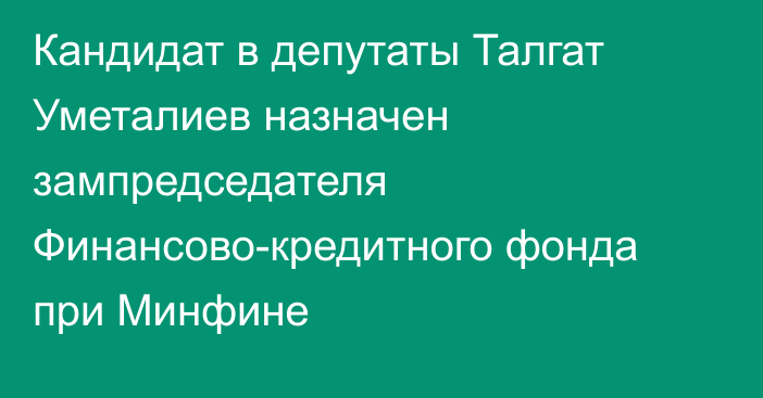 Кандидат в депутаты Талгат Уметалиев назначен зампредседателя Финансово-кредитного фонда при Минфине