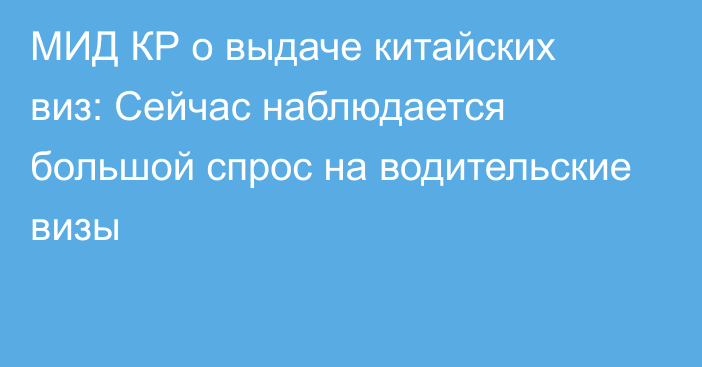 МИД КР о выдаче китайских виз: Сейчас наблюдается большой спрос на водительские визы