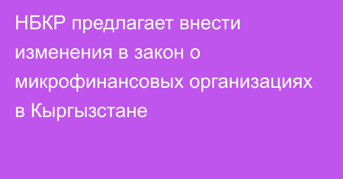 НБКР предлагает внести изменения в закон о микрофинансовых организациях в Кыргызстане