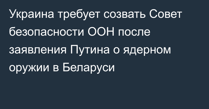 Украина требует созвать Совет безопасности ООН после заявления Путина о ядерном оружии в Беларуси