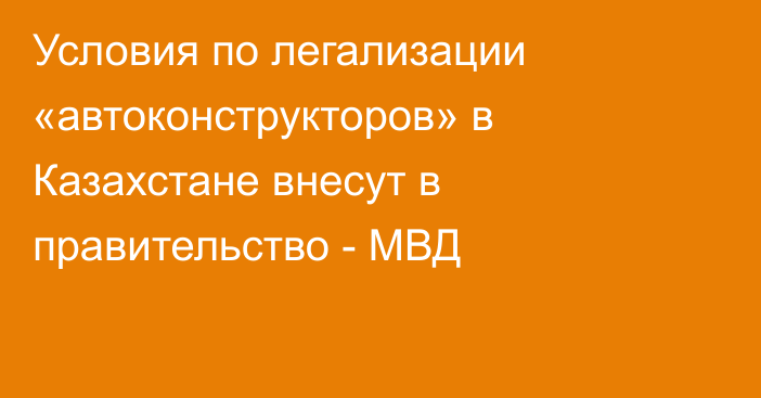 Условия по легализации «автоконструкторов» в Казахстане внесут в правительство - МВД