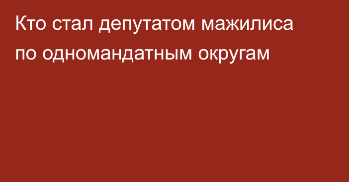 Кто стал депутатом мажилиса по одномандатным округам