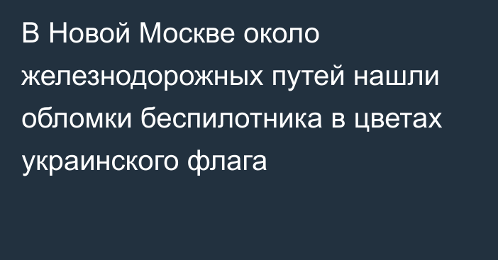 В Новой Москве около железнодорожных путей нашли обломки беспилотника в цветах украинского флага