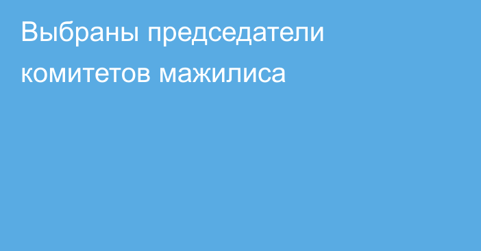 Выбраны председатели комитетов мажилиса