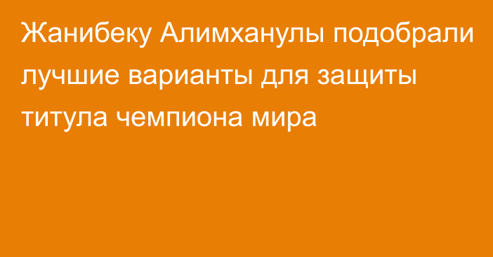 Жанибеку Алимханулы подобрали лучшие варианты для защиты титула чемпиона мира