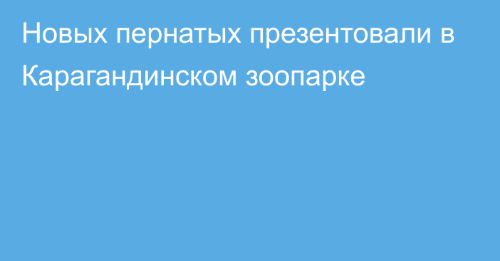 Новых пернатых презентовали в Карагандинском зоопарке