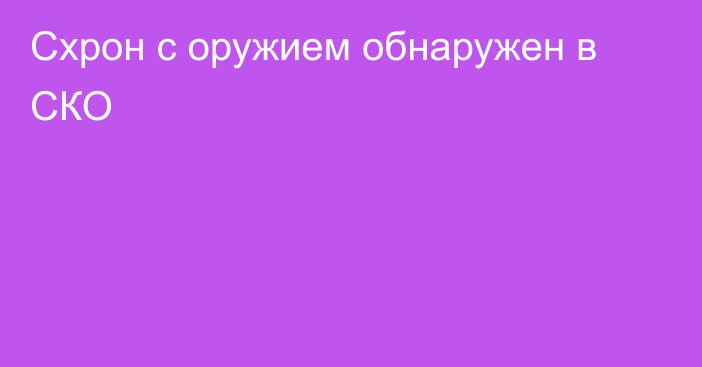 Схрон с оружием обнаружен в СКО