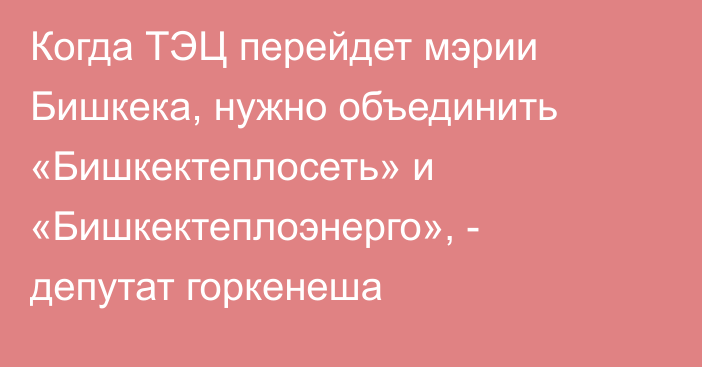 Когда ТЭЦ перейдет мэрии Бишкека, нужно объединить «Бишкектеплосеть» и «Бишкектеплоэнерго», - депутат горкенеша