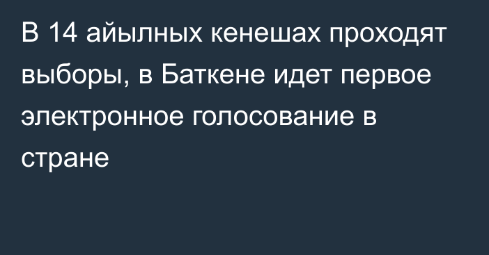 В 14 айылных кенешах проходят выборы, в Баткене идет первое электронное голосование в стране