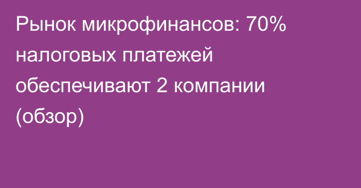 Рынок микрофинансов: 70% налоговых платежей обеспечивают 2 компании (обзор)