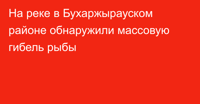 На реке в Бухаржырауском районе обнаружили массовую гибель рыбы