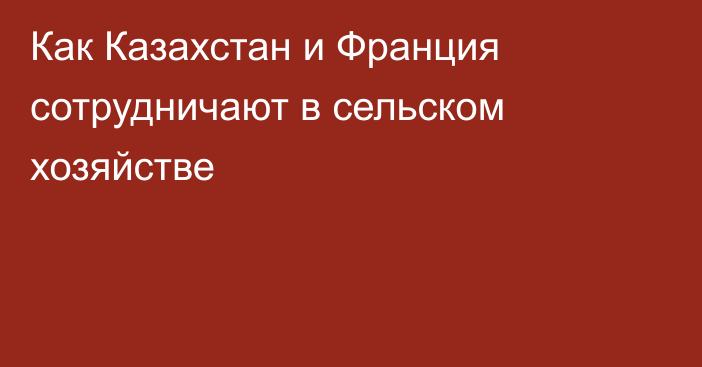 Как Казахстан и Франция сотрудничают в сельском хозяйстве