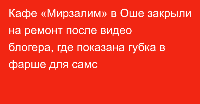 Кафе «Мирзалим» в Оше закрыли на ремонт после видео блогера, где показана губка в фарше для самс