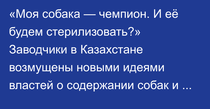 «Моя собака — чемпион. И её будем стерилизовать?» Заводчики в Казахстане возмущены новыми идеями властей о содержании собак и кошек