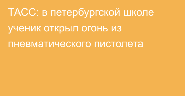 ТАСС: в петербургской школе ученик открыл огонь из пневматического пистолета