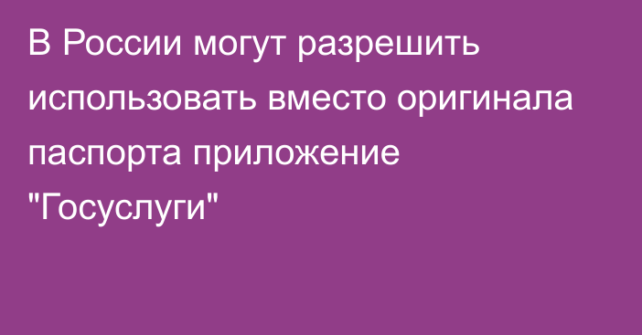 В России могут разрешить использовать вместо оригинала паспорта приложение 