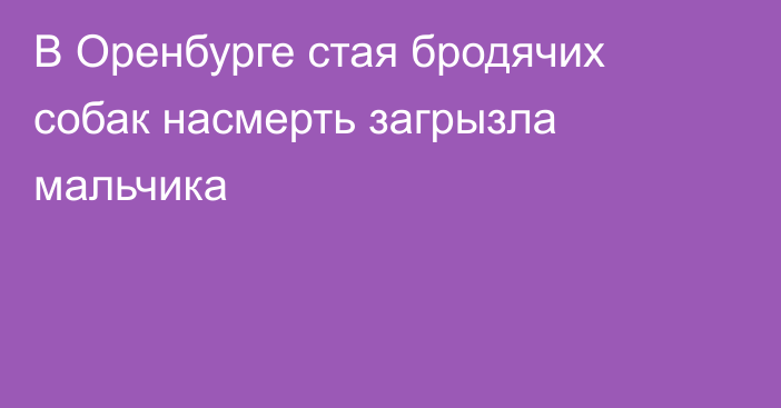 В Оренбурге стая бродячих собак насмерть загрызла мальчика