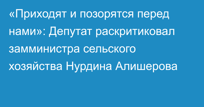 «Приходят и позорятся перед нами»: Депутат раскритиковал замминистра сельского хозяйства Нурдина Алишерова