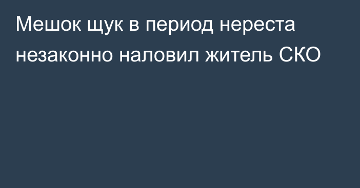 Мешок щук в период нереста незаконно наловил житель СКО