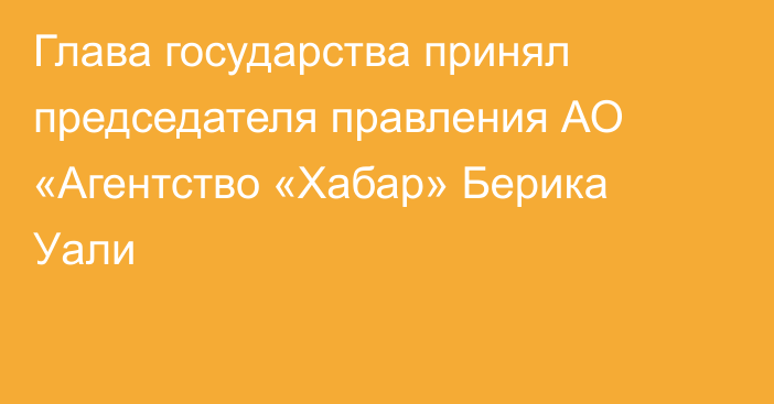 Глава государства принял председателя правления АО «Агентство «Хабар» Берика Уали