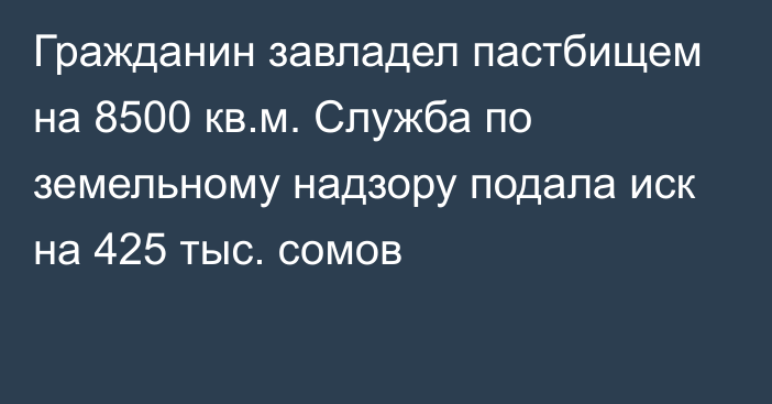 Гражданин завладел пастбищем на 8500 кв.м. Служба по земельному надзору подала иск на 425 тыс. сомов