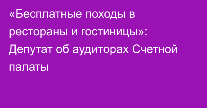 «Бесплатные походы в рестораны и гостиницы»: Депутат об аудиторах Счетной палаты