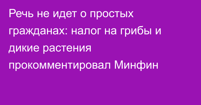 Речь не идет о простых гражданах: налог на грибы и дикие растения прокомментировал Минфин