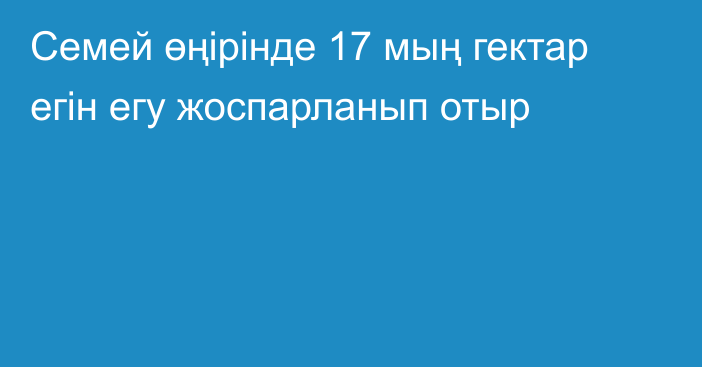 Семей өңірінде 17 мың гектар егін егу жоспарланып отыр