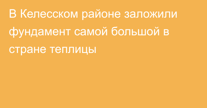 В Келесском районе заложили фундамент самой большой в стране теплицы