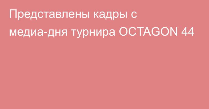 Представлены кадры с медиа-дня турнира OCTAGON 44