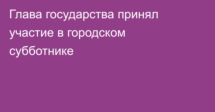 Глава государства принял участие в городском субботнике