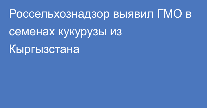 Россельхознадзор выявил ГМО в семенах кукурузы из Кыргызстана