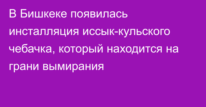 В Бишкеке появилась инсталляция иссык-кульского чебачка, который находится на грани вымирания