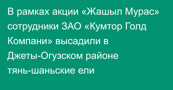 В рамках акции «Жашыл Мурас» сотрудники ЗАО «Кумтор Голд Компани» высадили в Джеты-Огузском районе тянь-шаньские ели