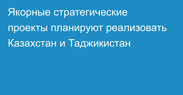 Якорные стратегические проекты планируют реализовать Казахстан и Таджикистан