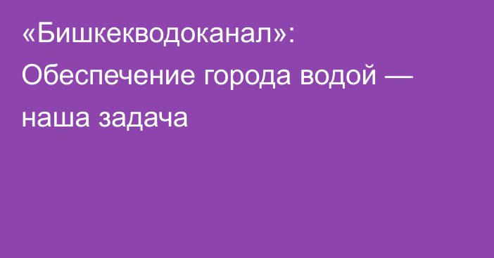 «Бишкекводоканал»: Обеспечение города водой — наша задача