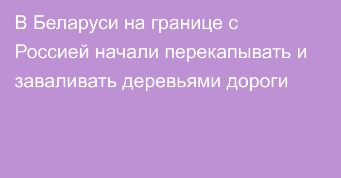 В Беларуси на границе с Россией начали перекапывать и заваливать деревьями дороги