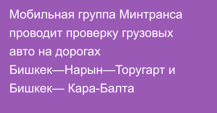 Мобильная группа Минтранса проводит проверку грузовых авто на дорогах Бишкек—Нарын—Торугарт и Бишкек— Кара-Балта