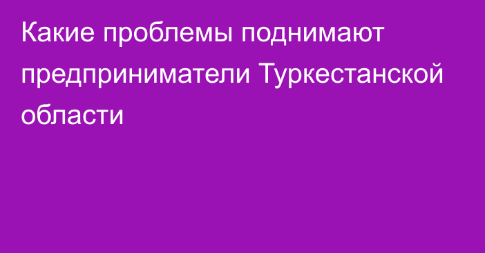 Какие проблемы поднимают предприниматели Туркестанской области